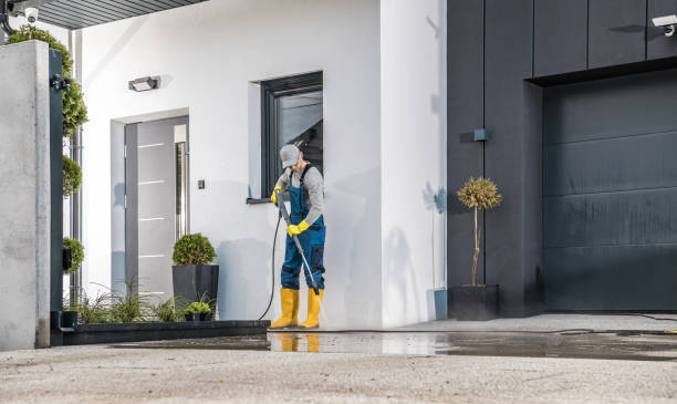 Best Solar Panel Cleaning  in Signal Mountain, TN